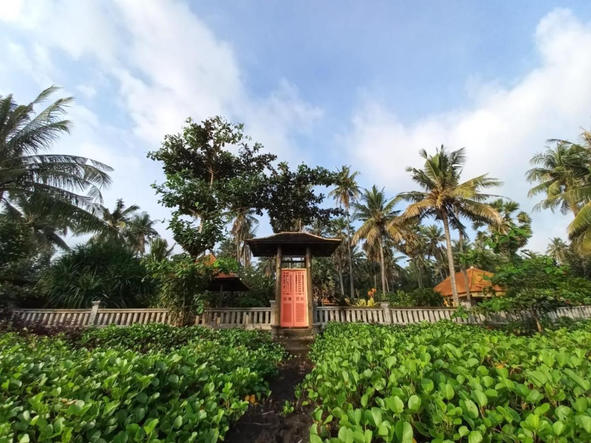 Bali North Beach B&B Tianyar Extérieur photo